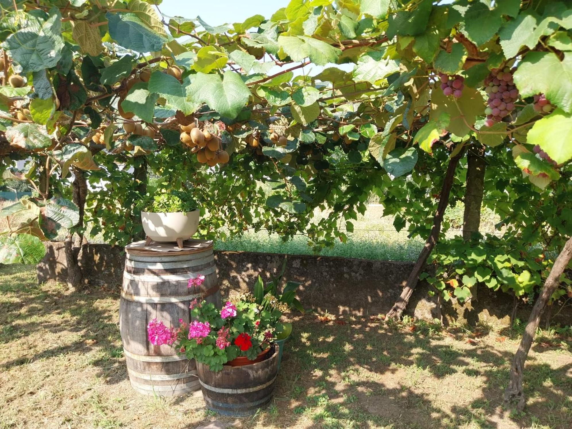O Berce Padron Casa Rural エクステリア 写真